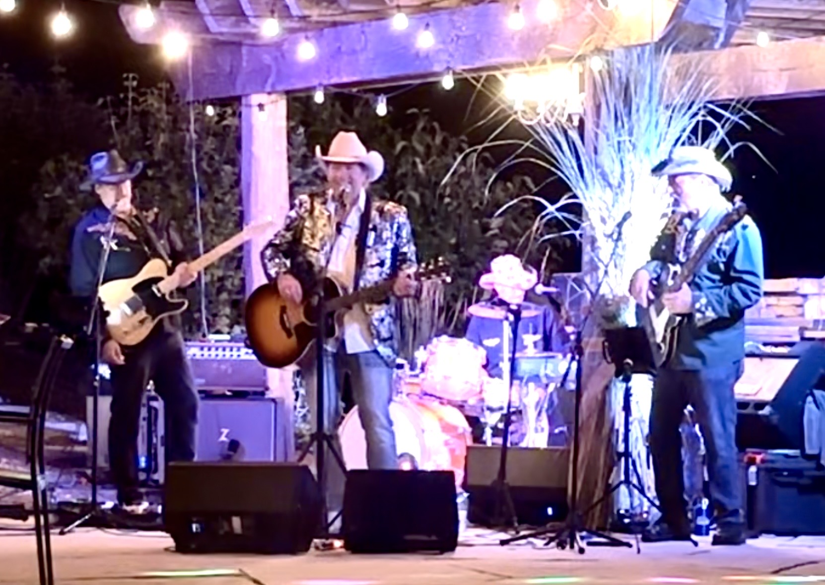 Guitars Cadillacs band photo